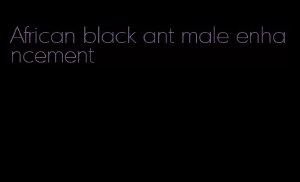 African black ant male enhancement